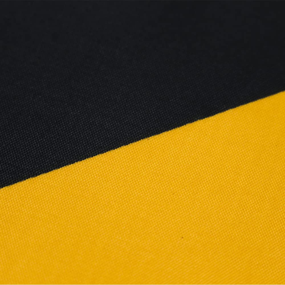 Bulk Digitally Printed Progress Pride Flag (Inspired Design) – High-Volume Event Grade